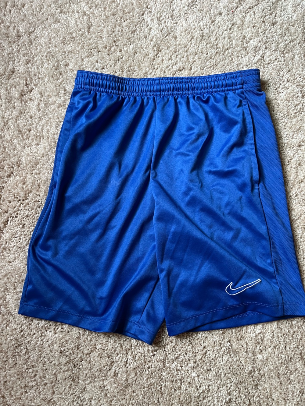 Nike Royal Blue Men's Athletic Shorts